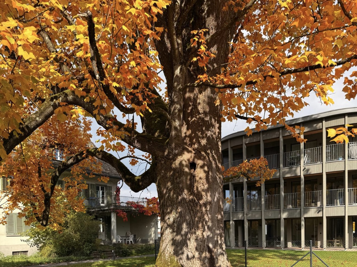 Haus Aarwangenstrasse Herbst